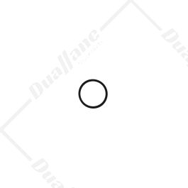 Order Cummins Fuel Filter Head Mounting O-ring | 213079 for only