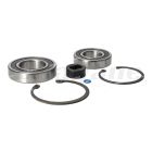 Borg Warner Pulley Driven Fan Hub Repair Kit | 1033 07781 01
