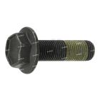 Bosch Screw Pin with Loctite | 0204012887