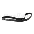 Cummins 6-Rib V-Belt 42.2 in. | 5413189