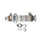 Cummins Oil Cooler Repair Kit | 4955518