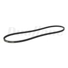 Dayco V-Belt, Top Cog Gold Label | 17500