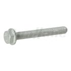Detroit Diesel Hex Head Flange Screw, M10 x 80 | N910105010016