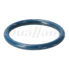 Detroit Diesel Oil Filter Neck O-Ring, DD15 GHG14 | A0289974845