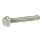Detroit EGR Hexagonal Head Screw with Flange | A1709900010