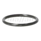 Detroit Fuel System O-ring | A0179979545