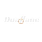 Detroit Seal Ring, A16 x 20 mm | N007603016105