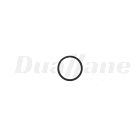 Detroit Sealing Ring | A0289976348