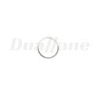 Detroit Sealing Ring | N000000001103