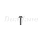 Detroit Hexagonal Screw M8X30  | N910105008012