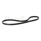 Freightliner 6 Rib Belt, 1515 MM, EPDM Kevlar | 01-26709-006