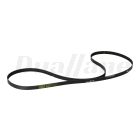Freightliner 6 Rib Serpentine Belt, 2494 mm | 01-35645-494