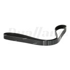 Freightliner 8 Rib Micro V-Belt, 56.0 In |N01 8K560