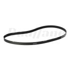 Freightliner 8-Rib Multi-V-Belt X 71.4 In. Long | 01-24730-004
