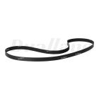 Freightliner 8-Rib Multi-V-Belt X 81.9 In. Long | 01-23415-100