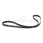 Freightliner 8-Rib Multi-V-Belt X 98.9 In. Long | 01-23415-079