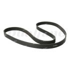 Freightliner 8 Rib Serpentine Belt, Orion-Poly, 2105MM | 01-27110-016