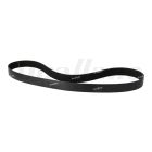 Freightliner Belt - 10 Rib, 1529 Mm, Hiep, Fan | 01-35625-529