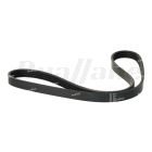 Isuzu A/C Compressor Belt | 8126793330