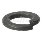 Meritor M14 Lock Washer | WALH99