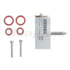 Valeo Expansion Valve Assembly | T1000898P