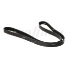 Volvo 6 Rib 1620mm V-Ribbed Belt | 23961728