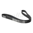 Volvo 8 Rib 1560mm V-Ribbed Belt | 24171420