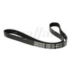 Volvo 8 Rib 1600mm Belt | 23961766