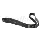 Volvo Alternator Belt | 23857789