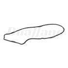 Volvo Coolant Pump Mounting Rubber Moulding | 21415427