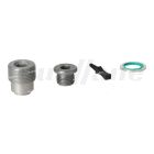 Volvo Fuel Rail Plug Kit | 24484701
