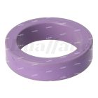 Volvo Sealing Ring | 21092243
