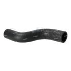 Volvo Surge Tank Coolant Hose | 23275462