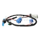 Volvo Tail Lamp Harness | 20914762