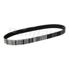 Volvo V-Ribbed Belt | 23961740