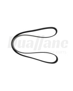 Alliance Multi-V-Belt 10 RIB X 57.9 in. Long | N01 10K579