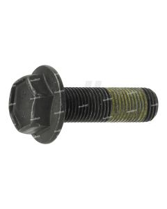 Bosch Screw Pin with Loctite | 0204012887