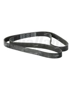 Cummins 8 Rib V-Ribbed Belt 83 in. | 3972263