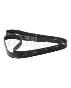 Cummins 8-Rib V-Ribbed Belt 90.7 in. | 5264021