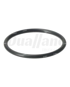 Cummins O-Ring Seal | 3045979