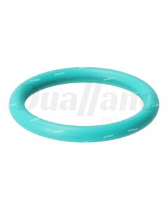 Cummins O-Ring Seal | 5484395