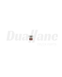 Cummins Pipe Plug | 3906619