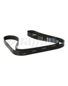 Cummins V-Ribbed Belt | 3289864