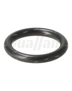 Detroit Crankcase Ventilation Pipe O-Ring | A0309978145