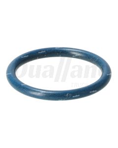 Detroit Diesel Oil Filter Neck O-Ring, DD15 GHG14 | A0289974845