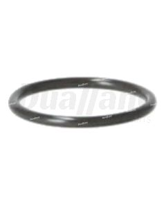 Detroit Fuel System O-ring | A0179979545