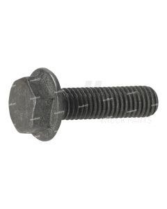 Detroit Hexagonal Head Screw with Flange | A0209900801