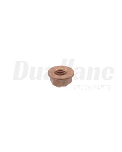 Detroit Nut | A0009902852