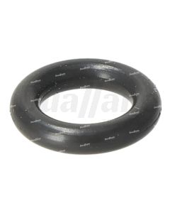 Detroit O-Ring | A0309970745