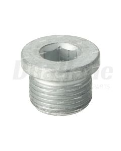 Detroit Screw Plug M20X1.5  | N000908020004